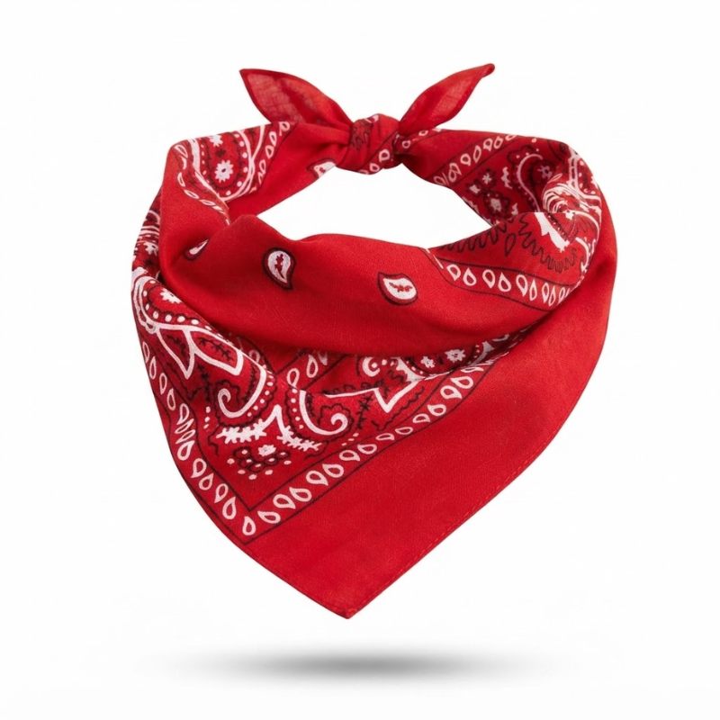 Red Paisley Print Bandana