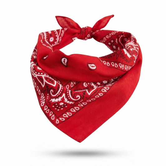 Red Paisley Print Bandana